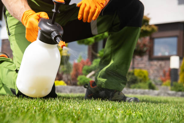 Best Exterminator Services  in Bridgeport, TX