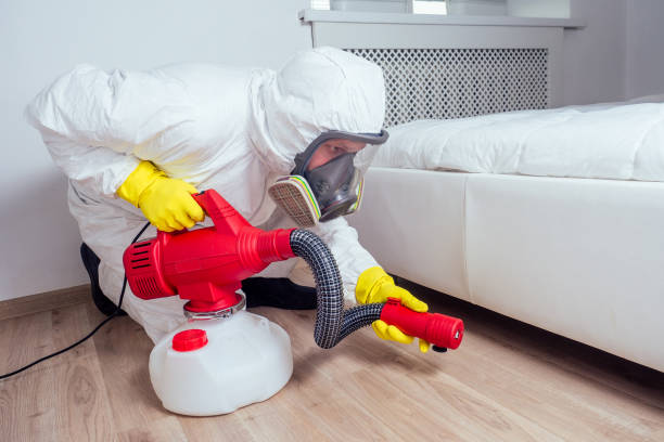 Best Pest Prevention Services  in Bridgeport, TX