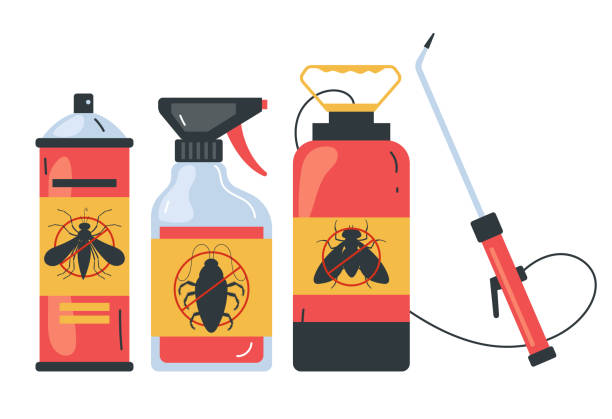Best Pest Inspection Near Me  in Bridgeport, TX
