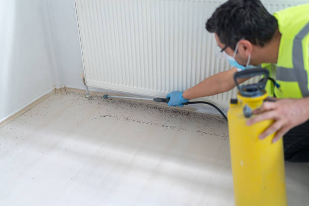 Best Bed Bug Extermination  in Bridgeport, TX